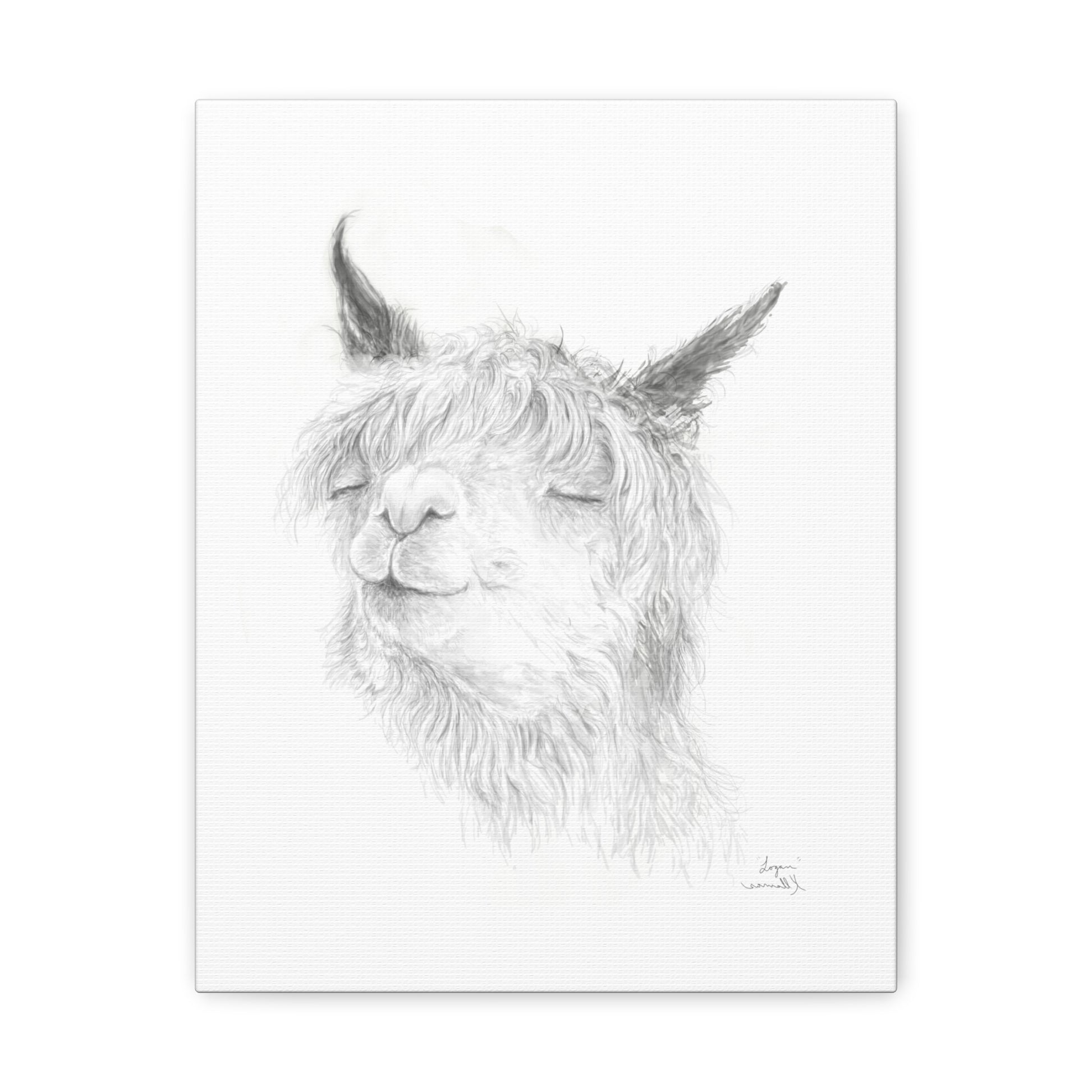 LOGAN Llama - Art Canvas