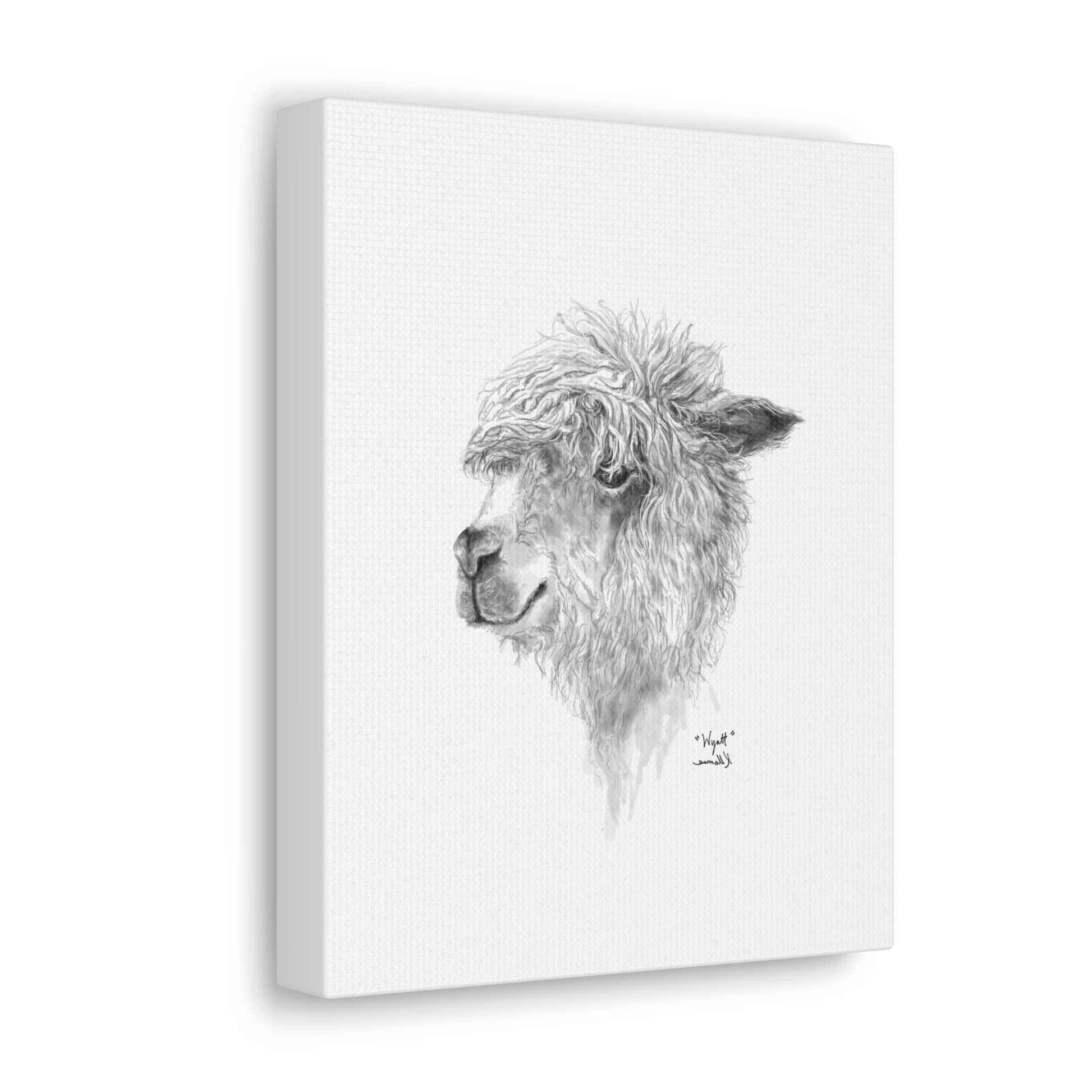 WYATT Llama - Art Canvas