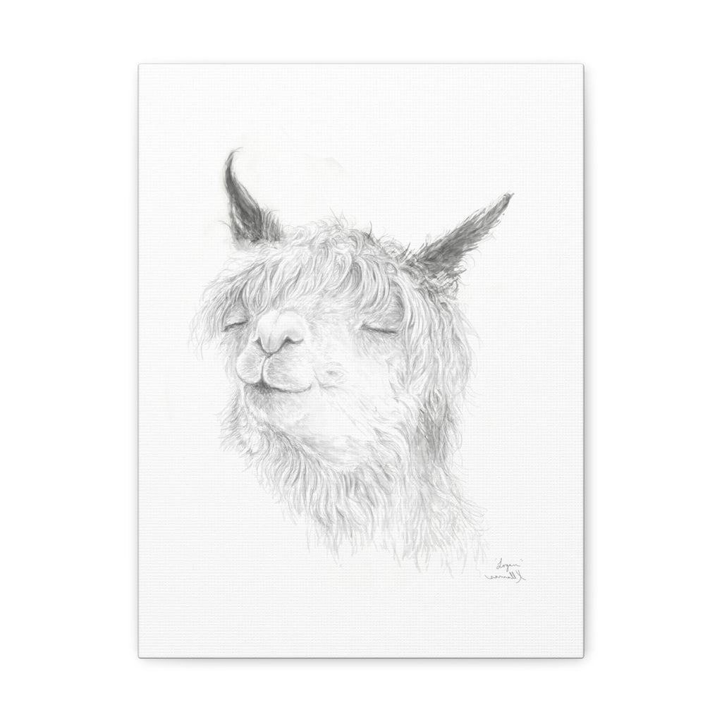 LOGAN Llama - Art Canvas