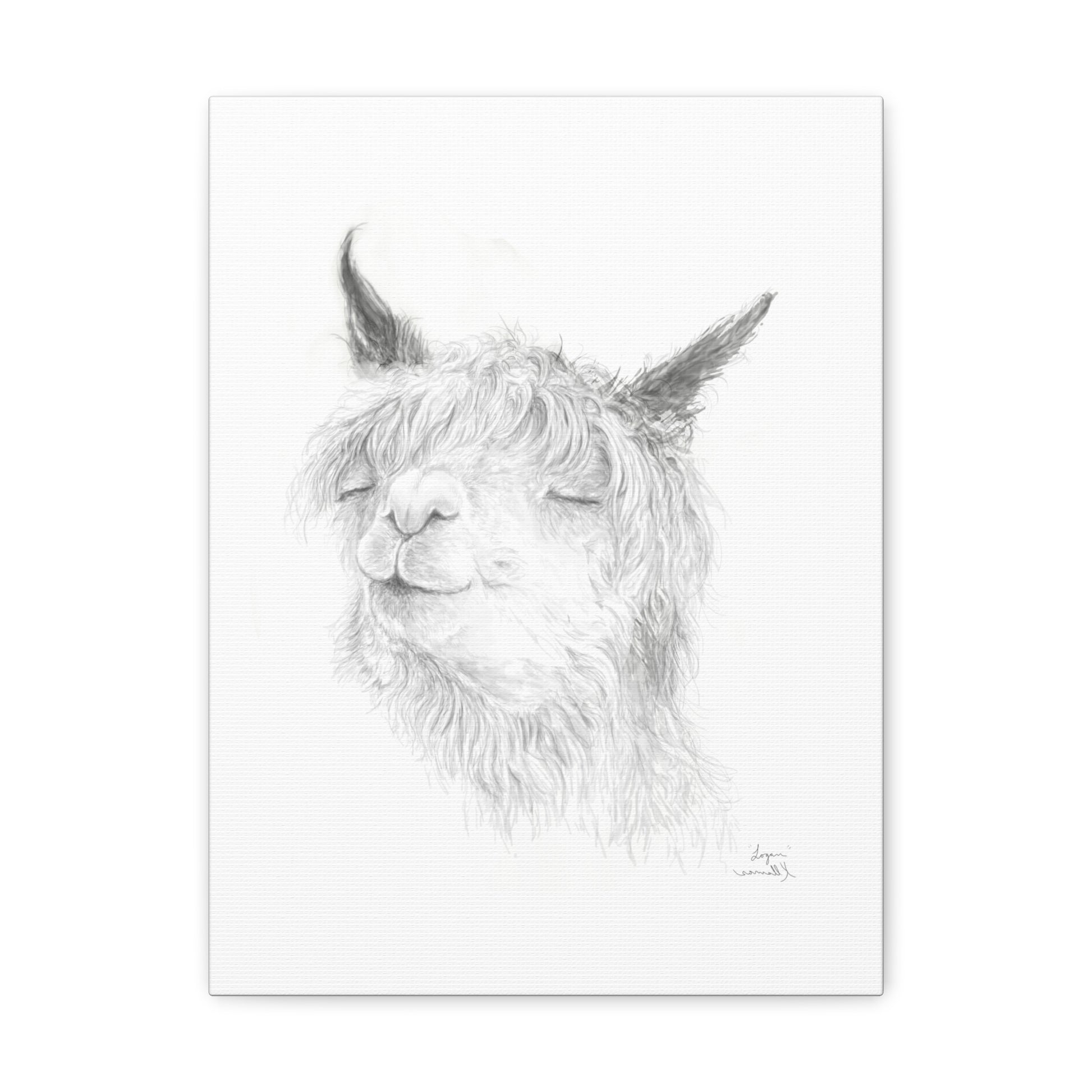 LOGAN Llama - Art Canvas