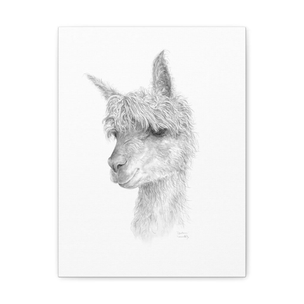 GRAHAM llama- Art Canvas