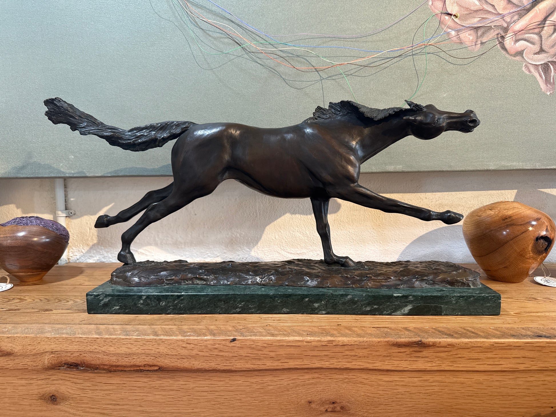 Stallion
