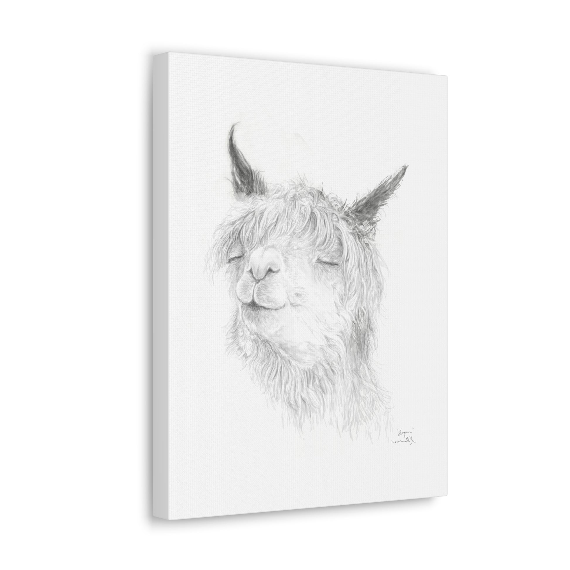 LOGAN Llama - Art Canvas