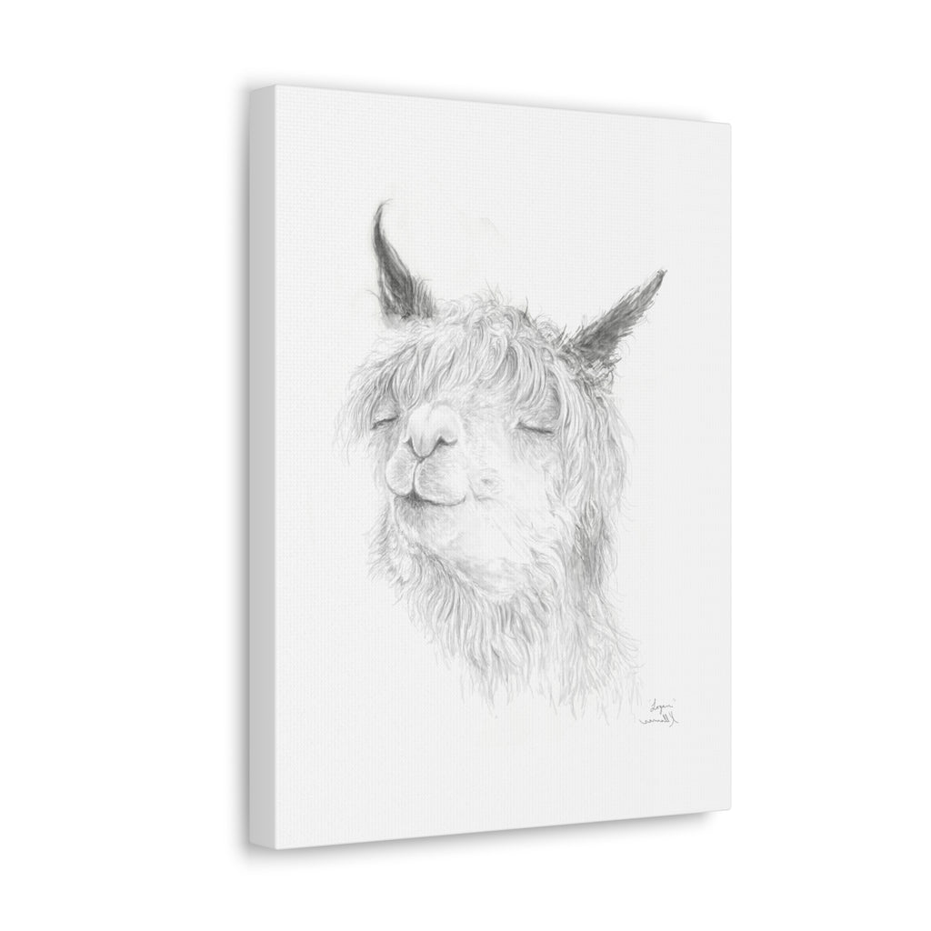 LOGAN Llama - Art Canvas