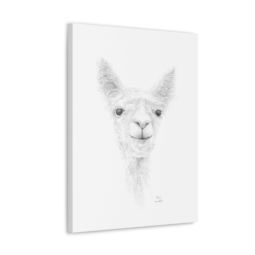 PARIS Llama - Art Canvas