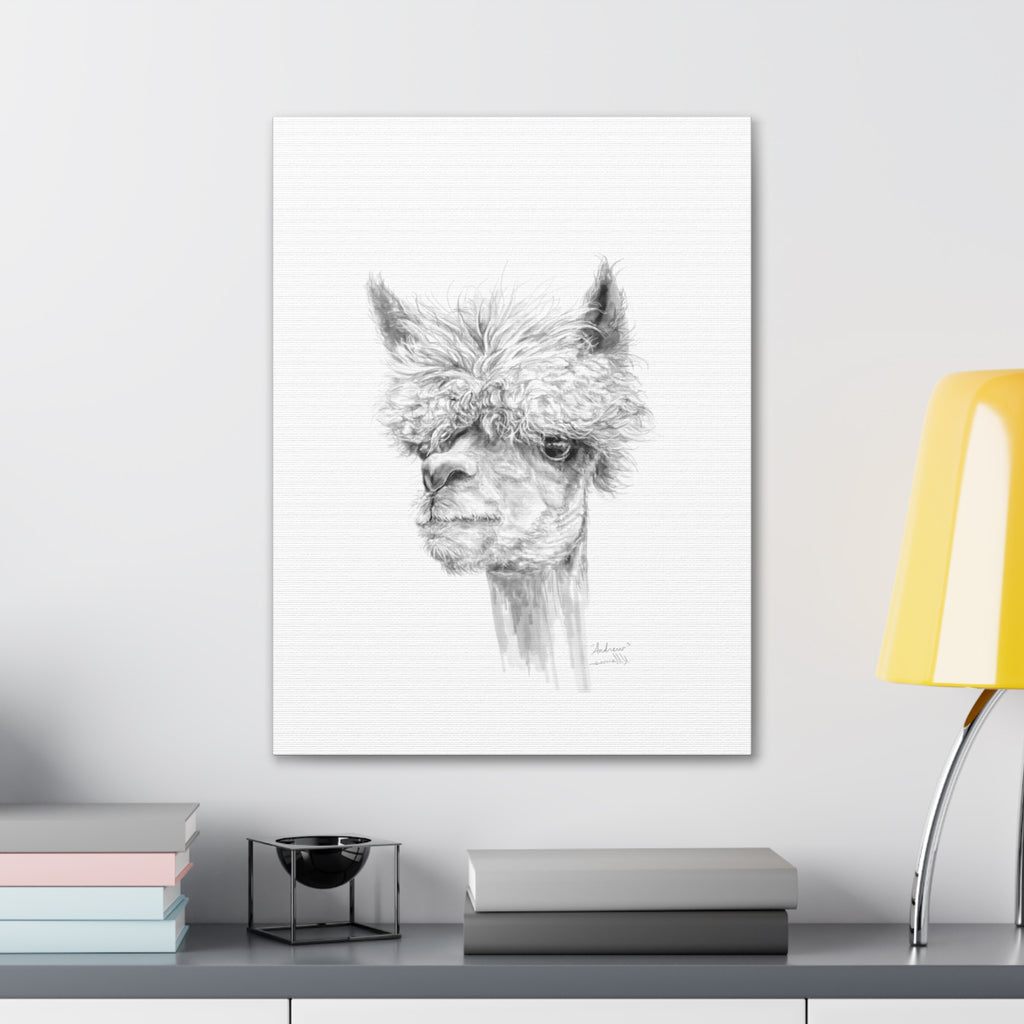 ANDREW llama- Art Canvas