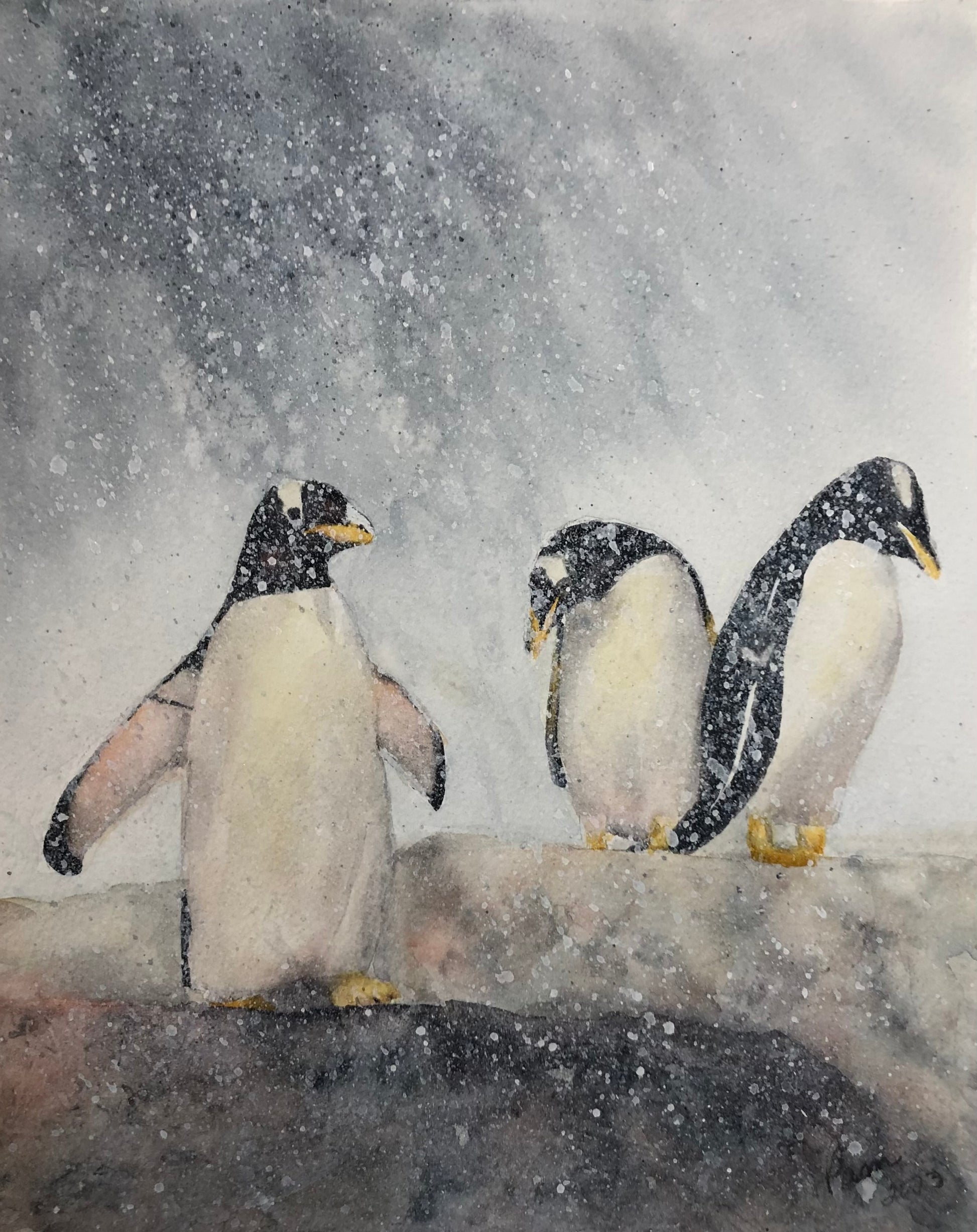 Chattanooga Penguins