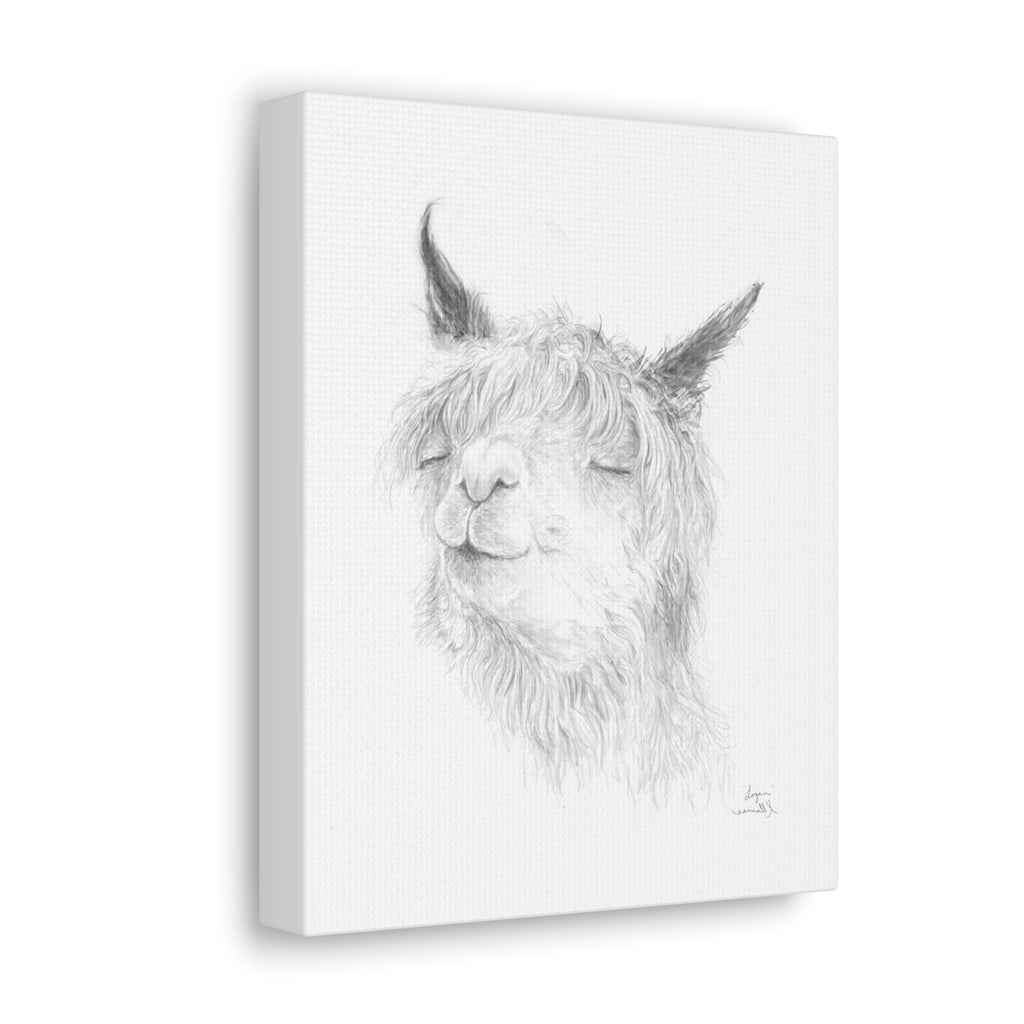 LOGAN Llama - Art Canvas