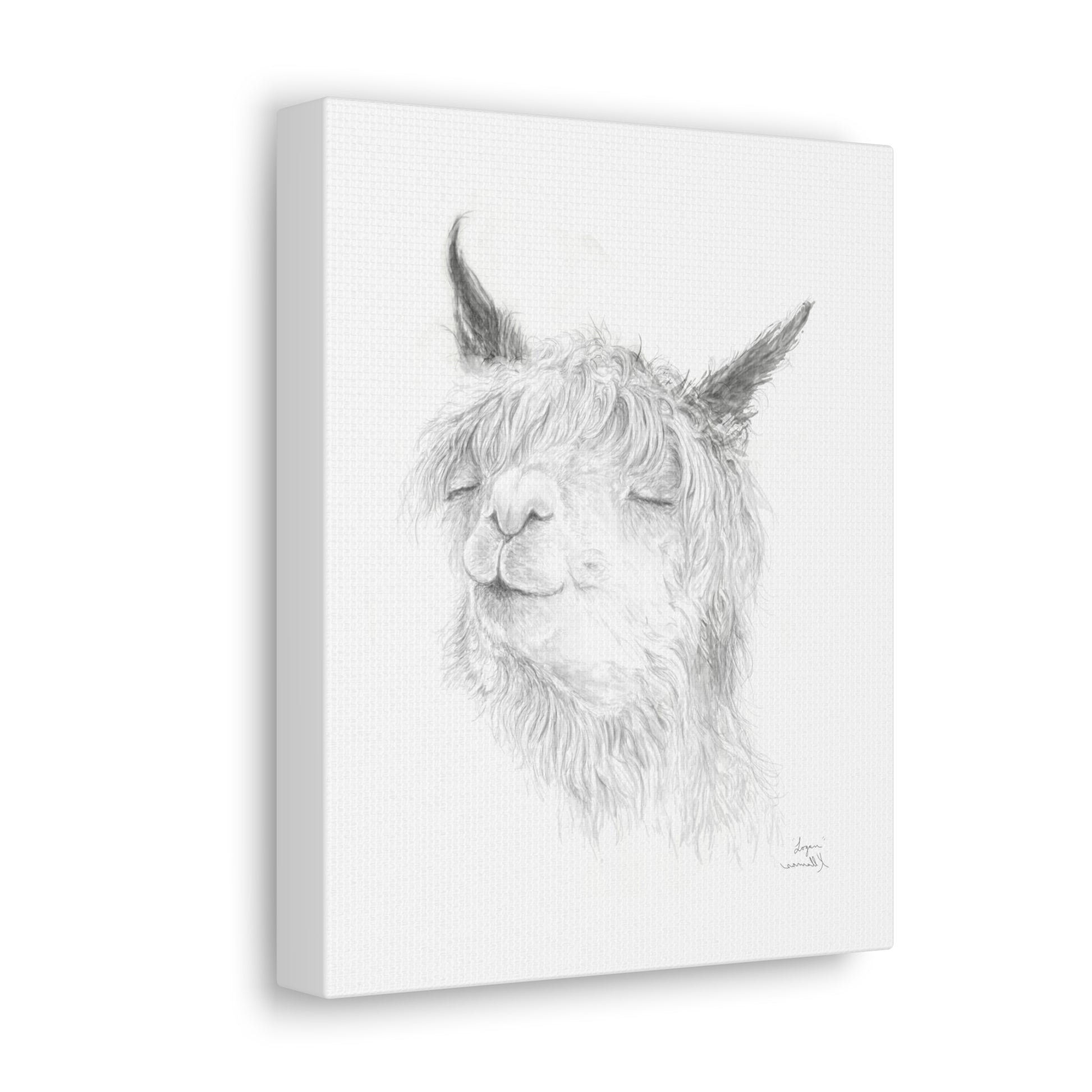 LOGAN Llama - Art Canvas