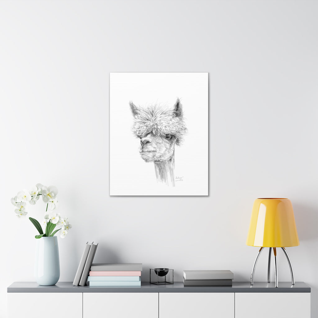 ANDREW llama- Art Canvas