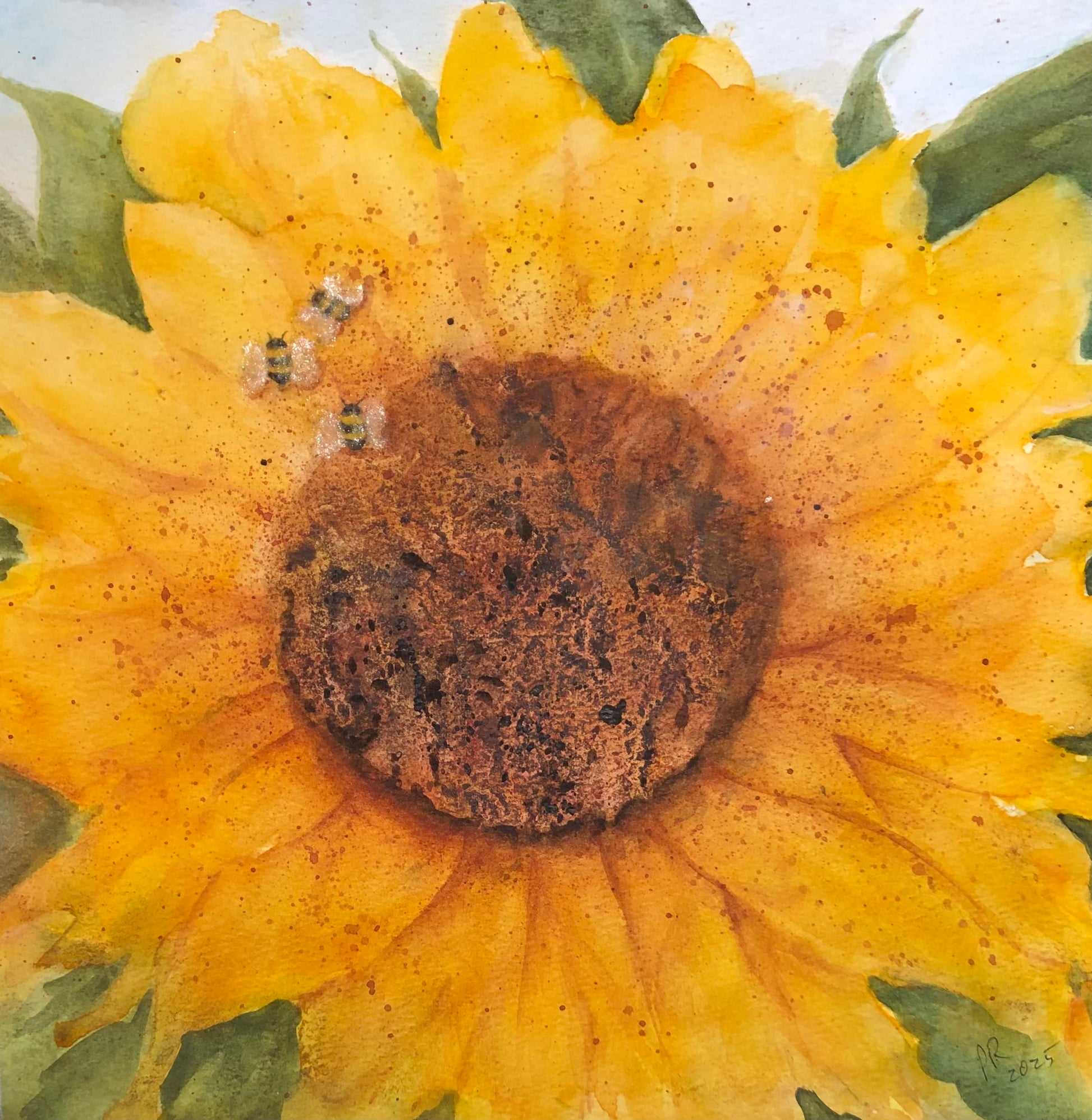 Sunflower