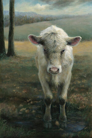 Calf Puddling