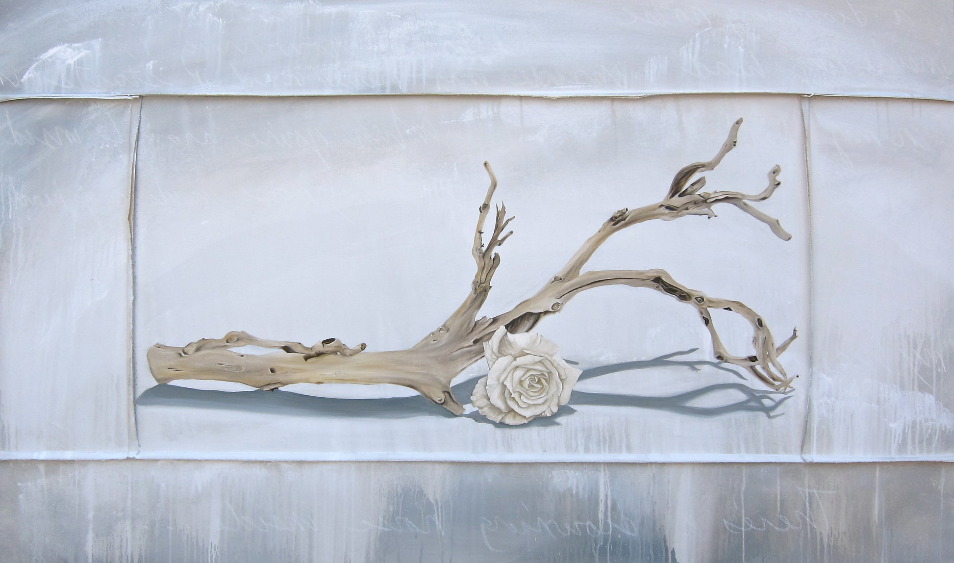 5x7” Matted Driftwood Print