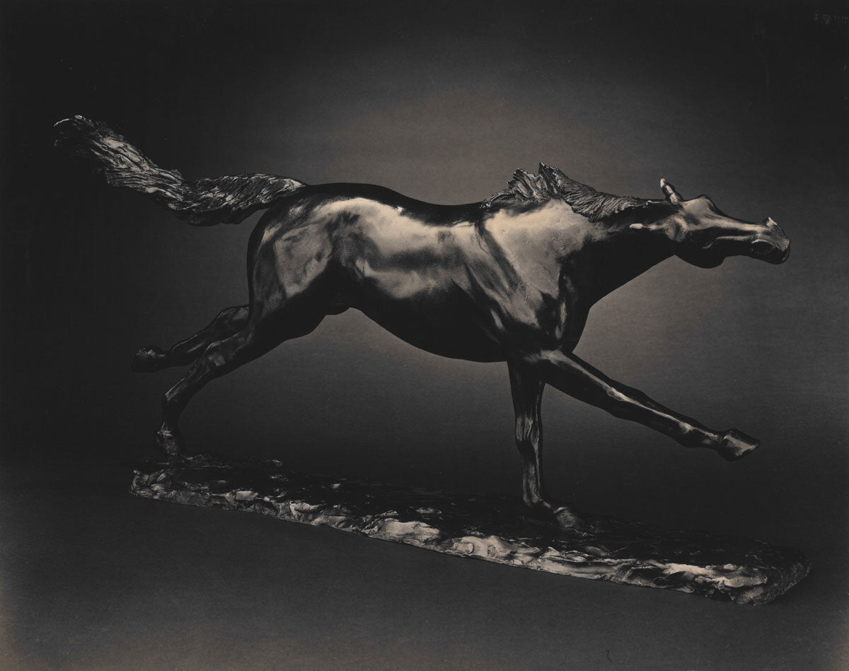 Stallion