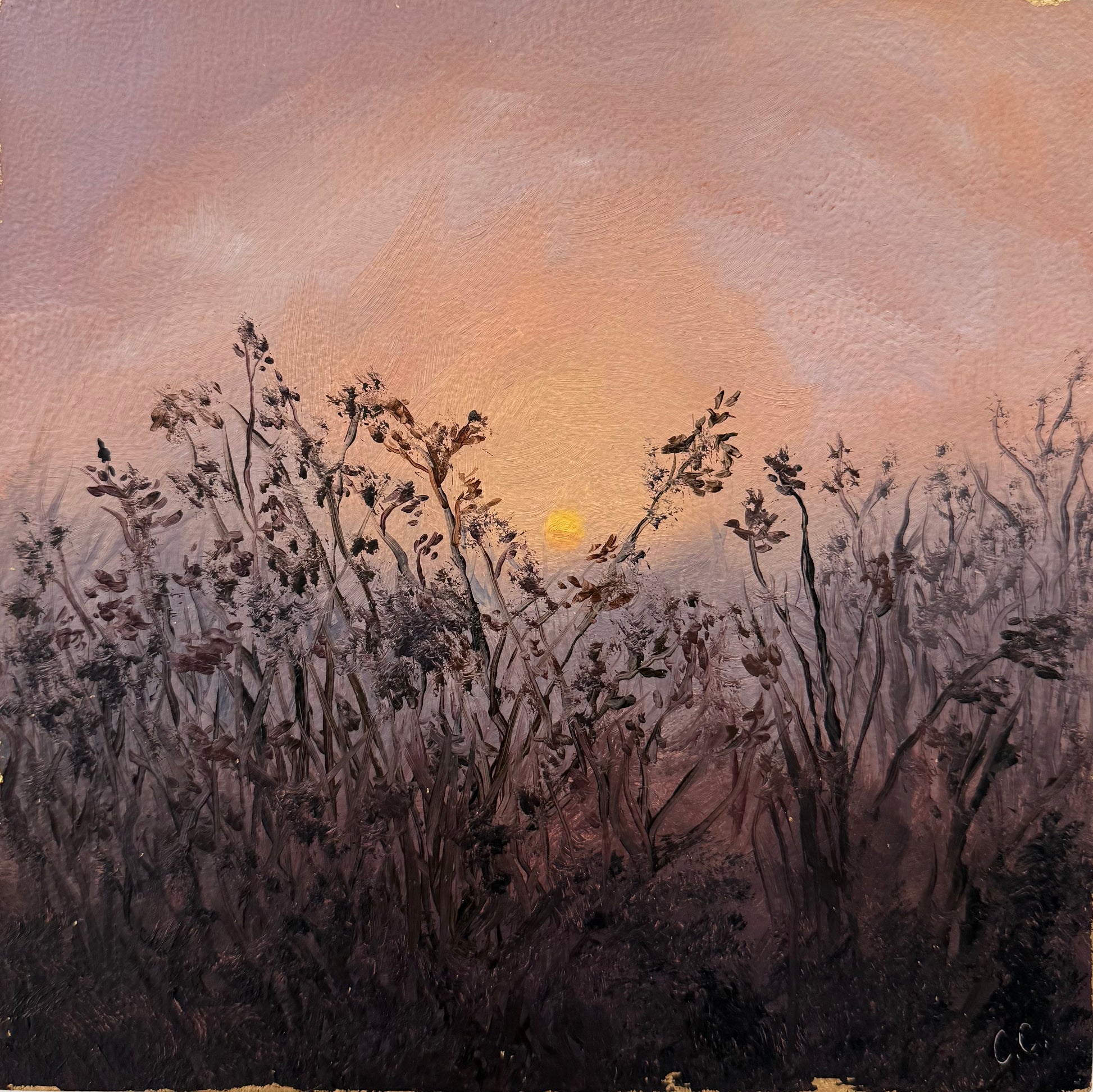 Pastel Nights