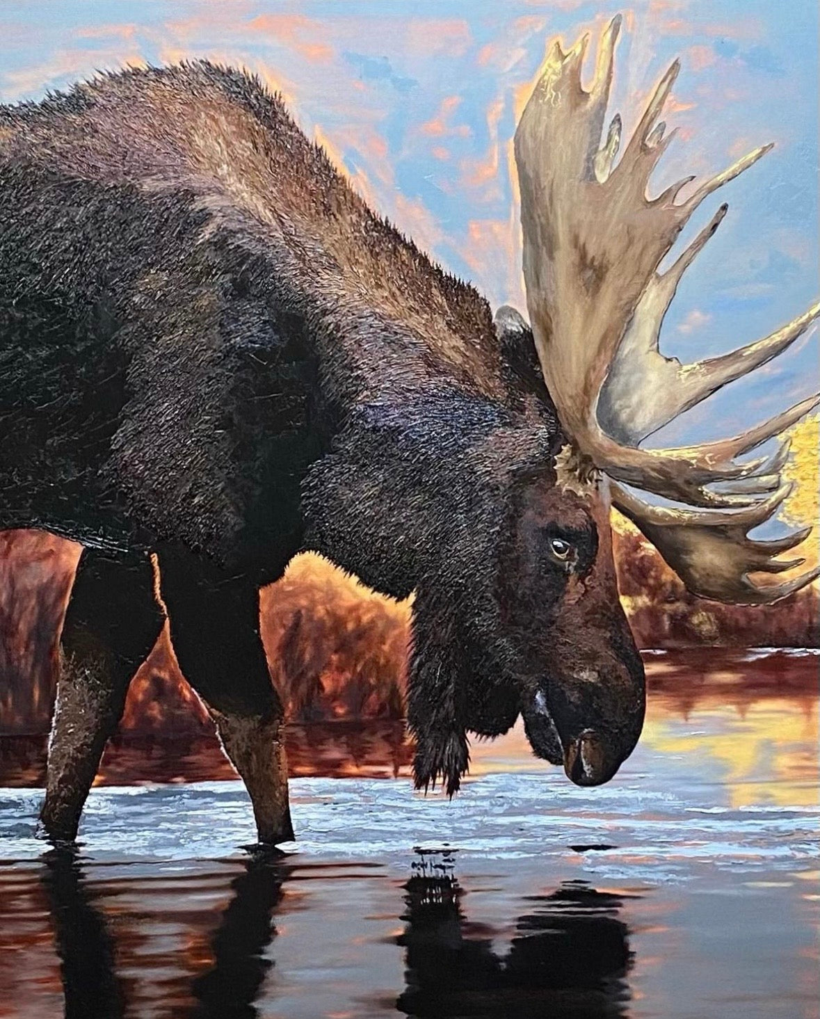 Morris the Moose