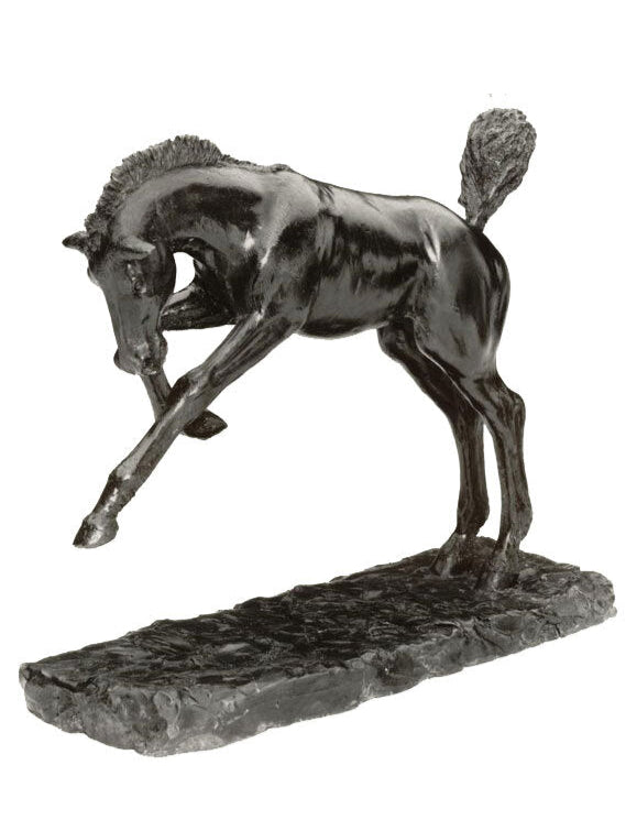 bronze filly
