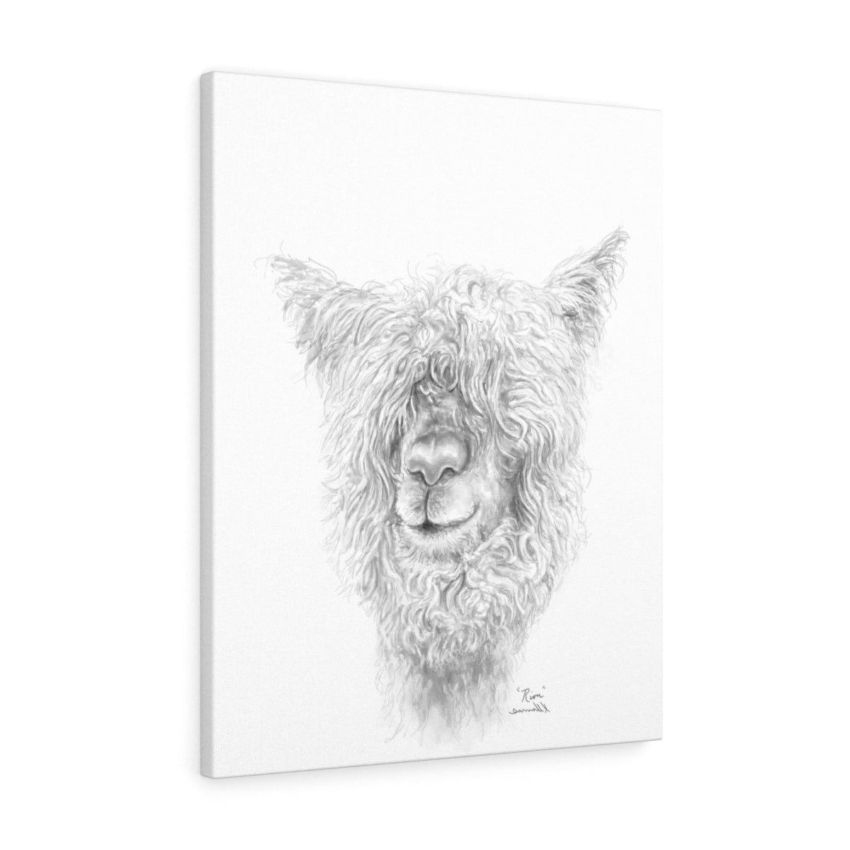 RION Llama - Art Canvas