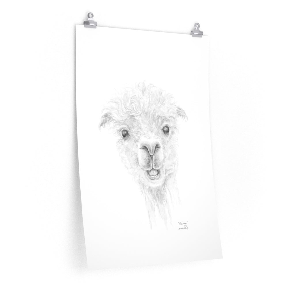 GEORGE Llama- Art Paper Print