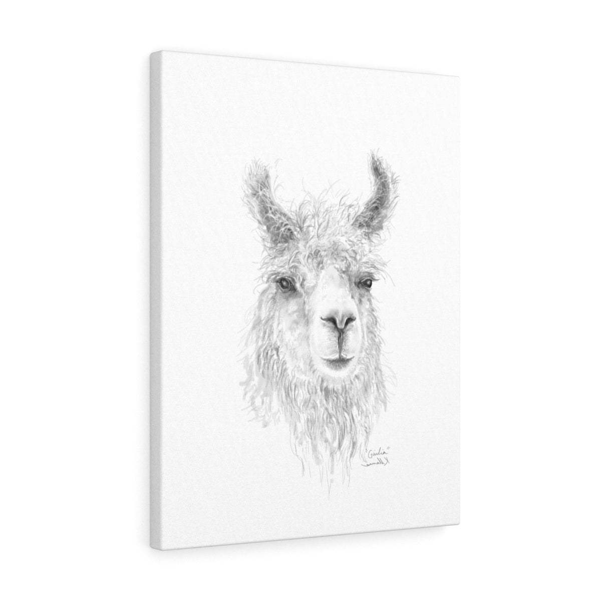 GIULIA Llama - Art Canvas
