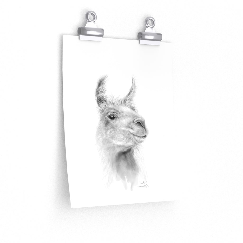INDIA Llama- Art Paper Print