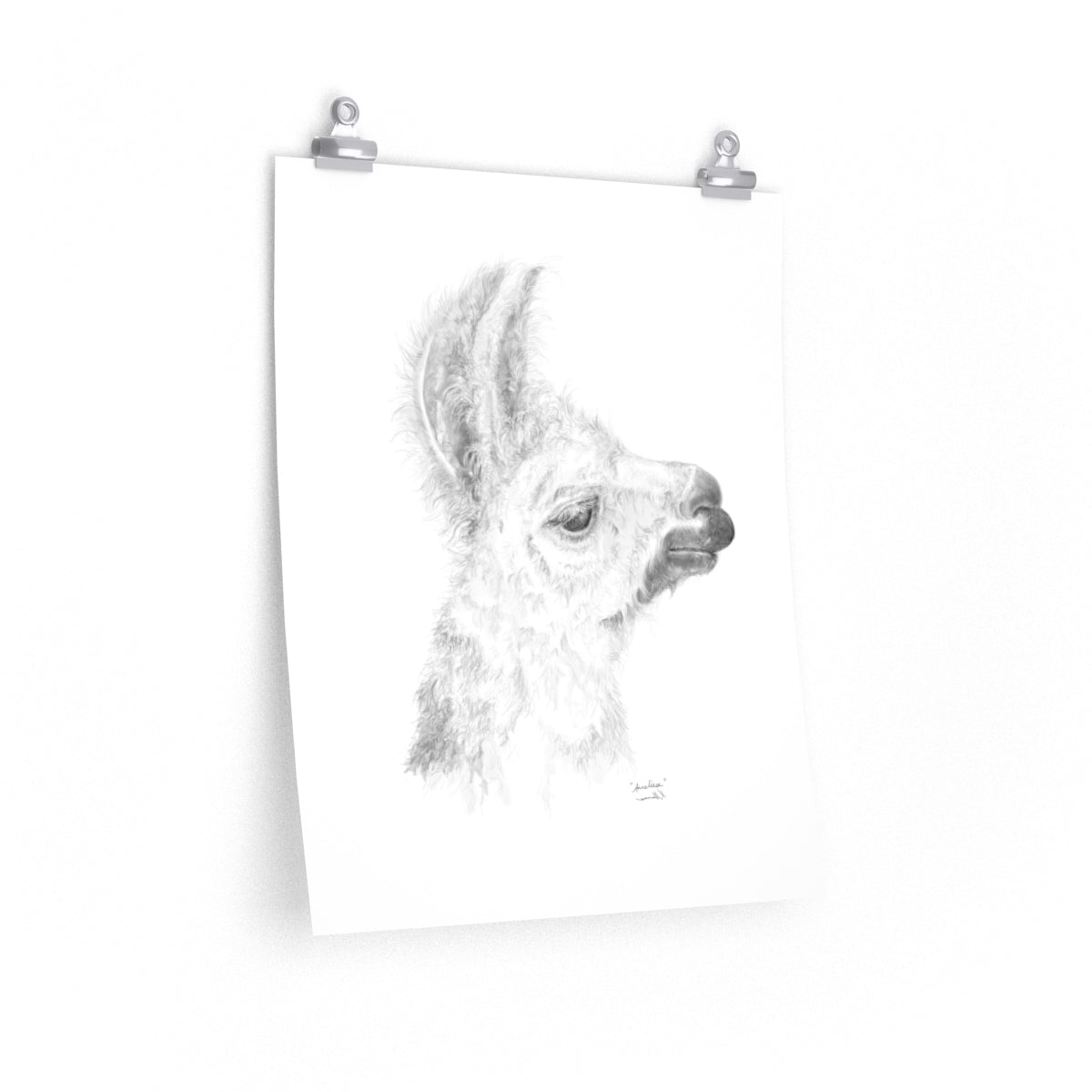 ANNELIESE Llama- Art Paper Print