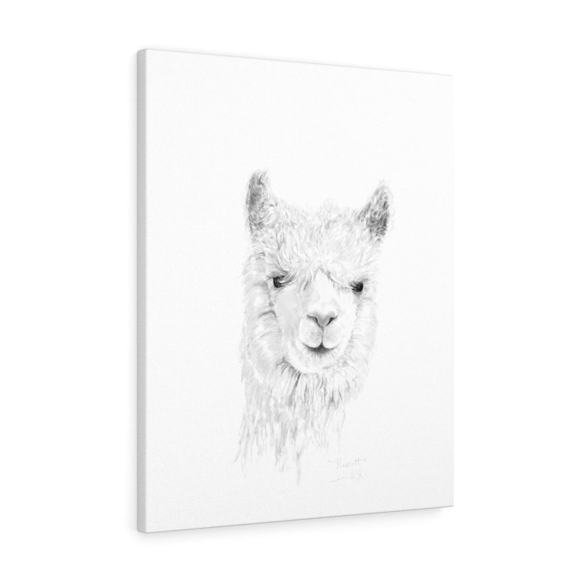 PRESCOTT Llama - Art Canvas