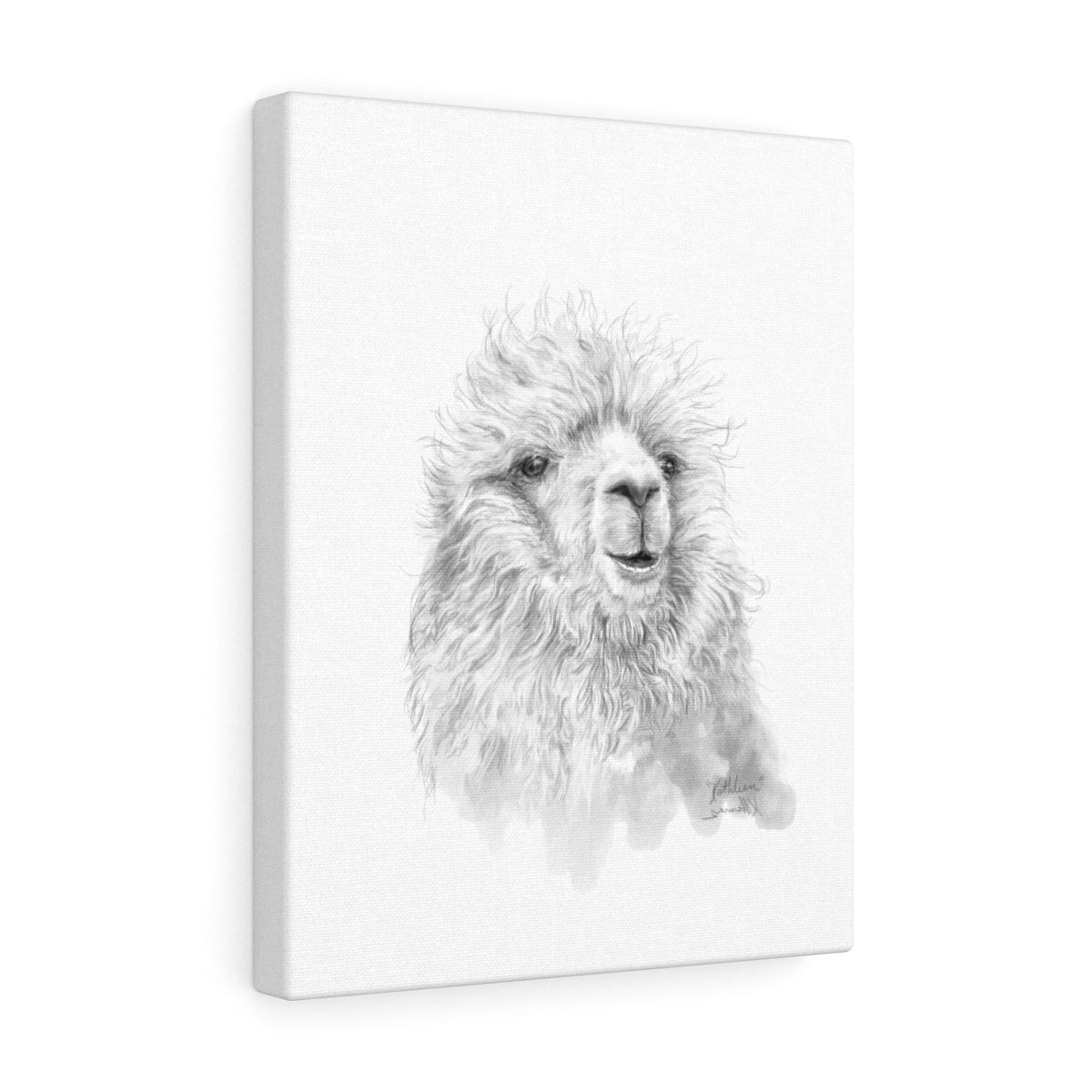 KATHLEEN Llama - Art Canvas