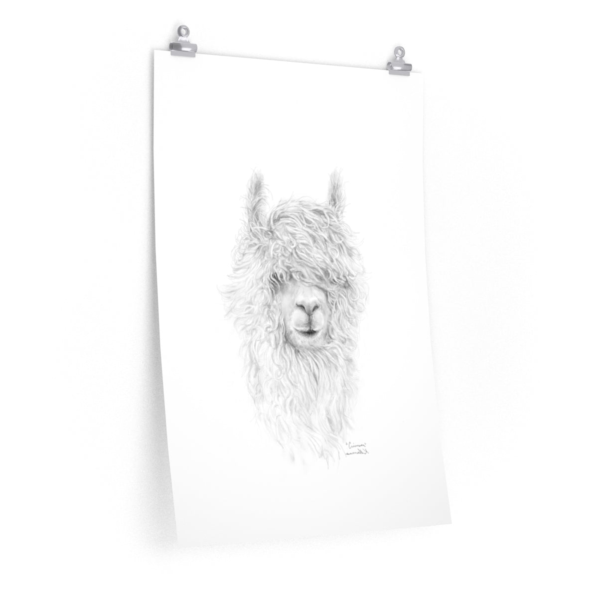 CRIMSON Llama- Art Paper Print