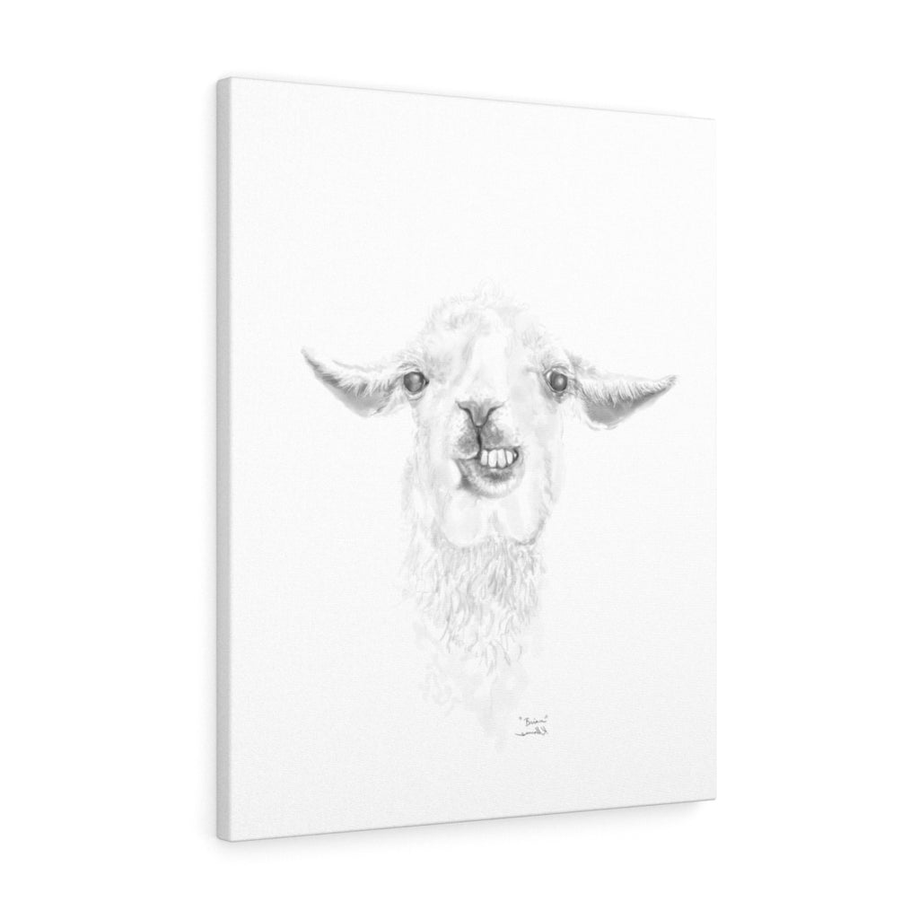 BRIAN Llama - Art Canvas