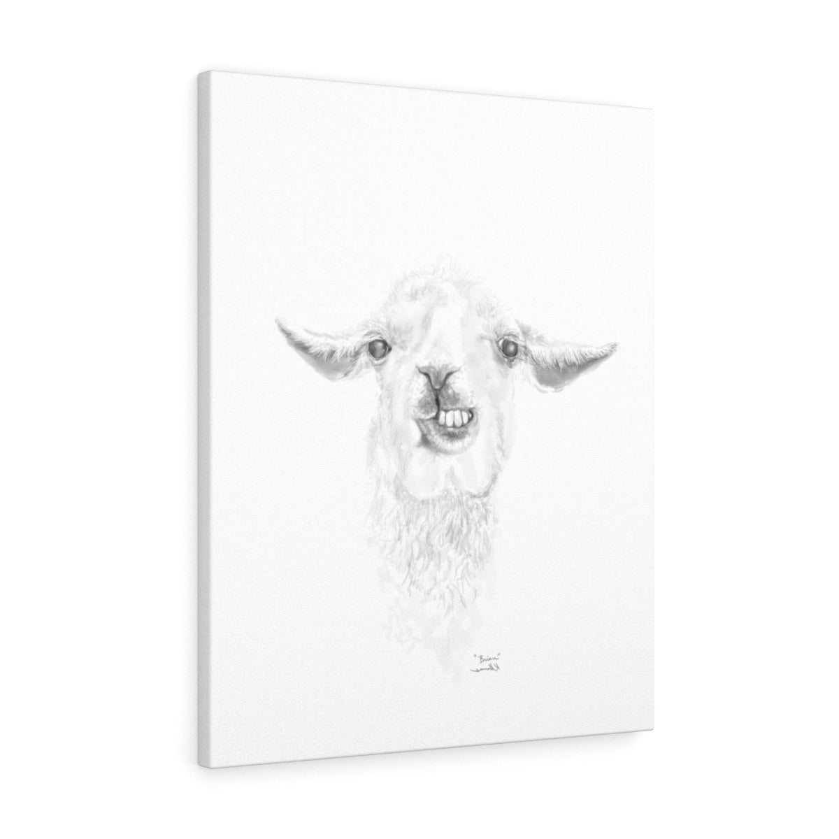 BRIAN Llama - Art Canvas