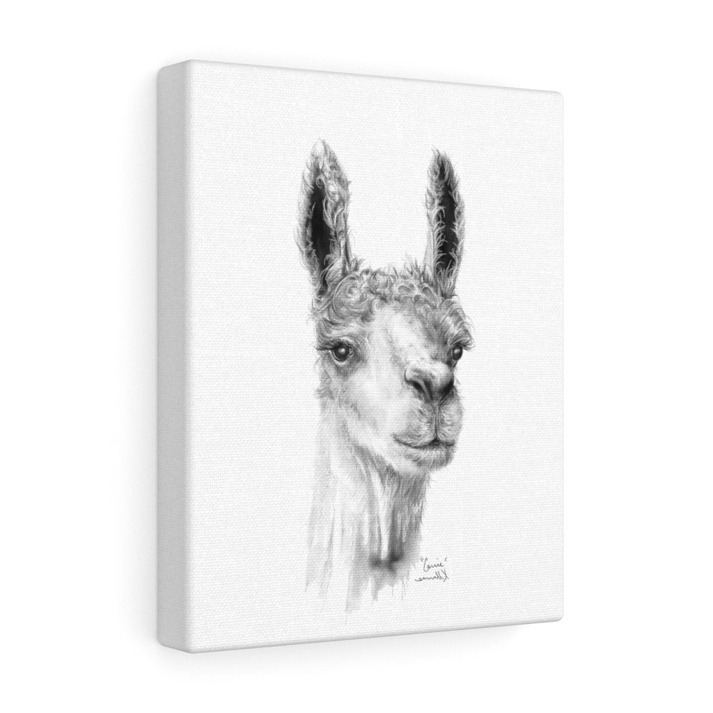 CARRIE Llama - Art Canvas