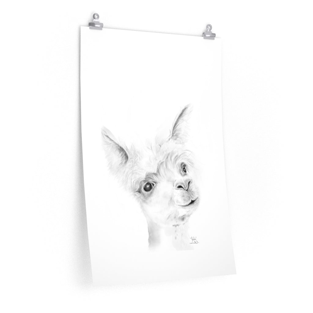 JULIE Llama- Art Paper Print