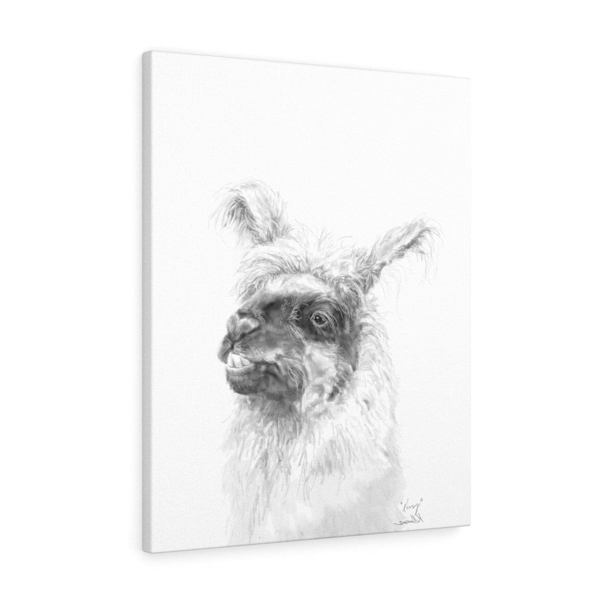 KERRY Llama - Art Canvas