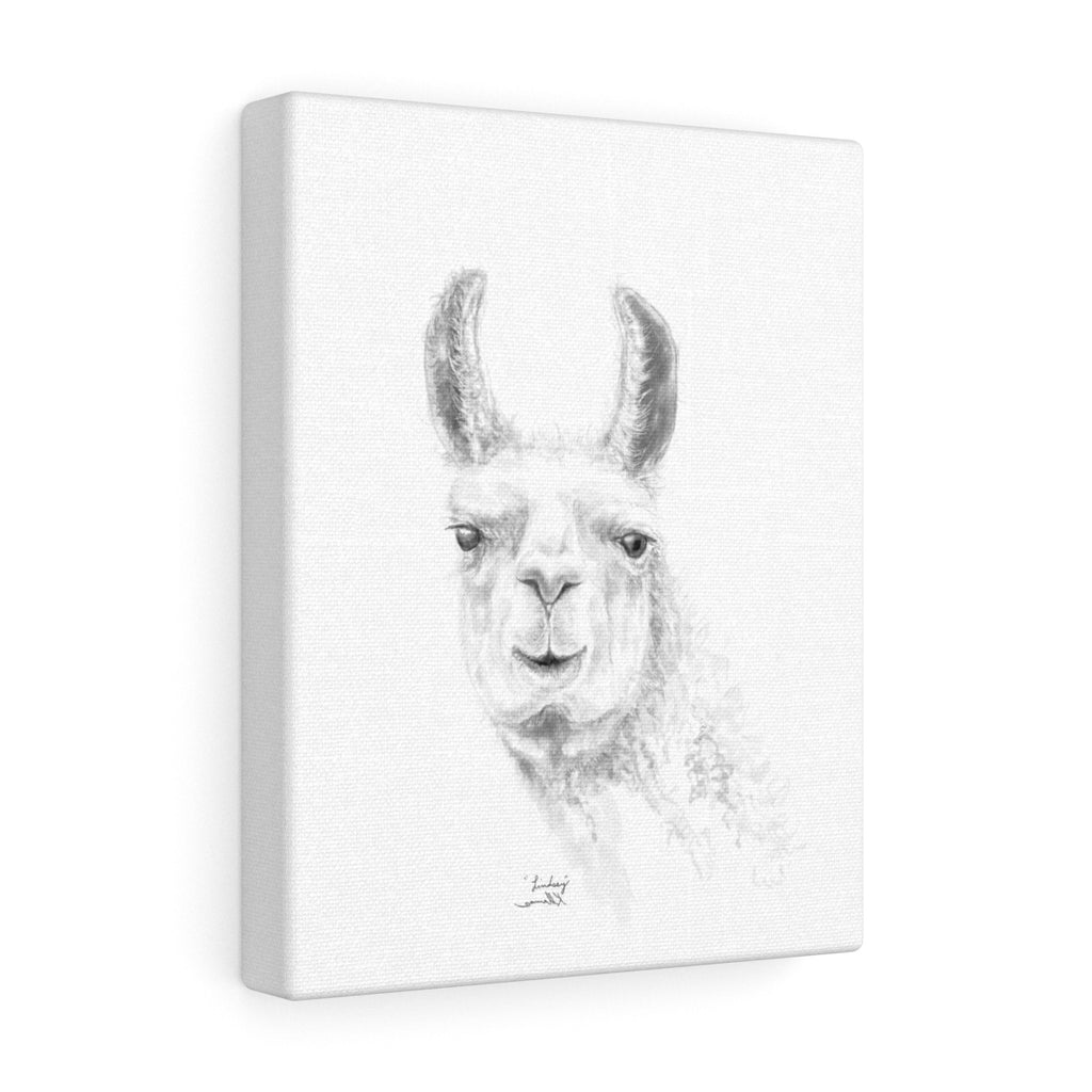LINDSEY Llama - Art Canvas