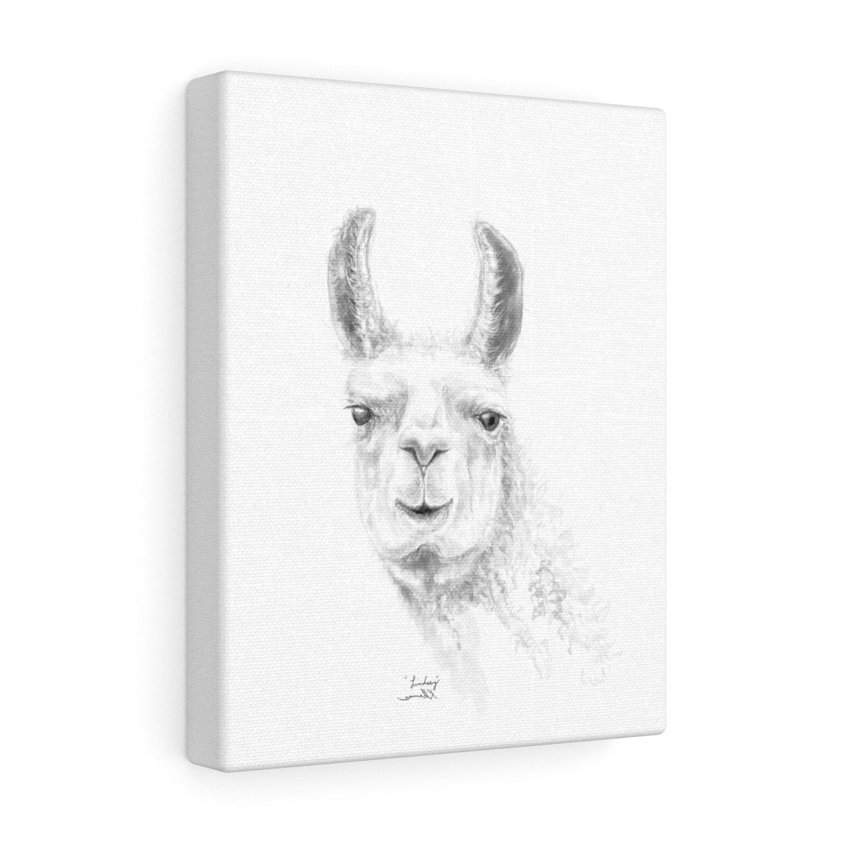 LINDSEY Llama - Art Canvas