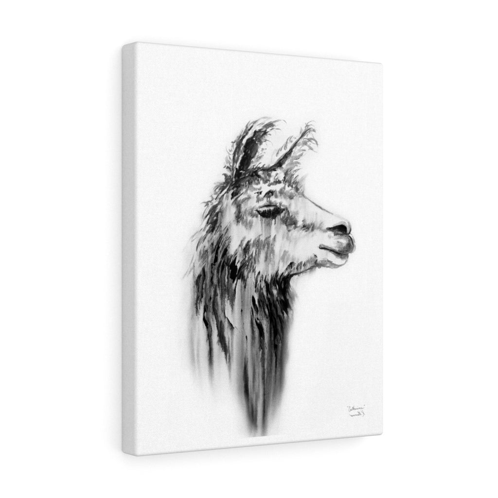 CATHERINE Llama - Art Canvas