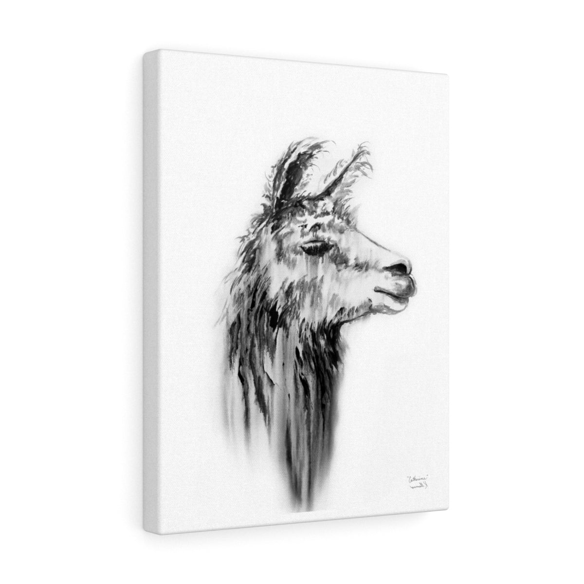 CATHERINE Llama - Art Canvas