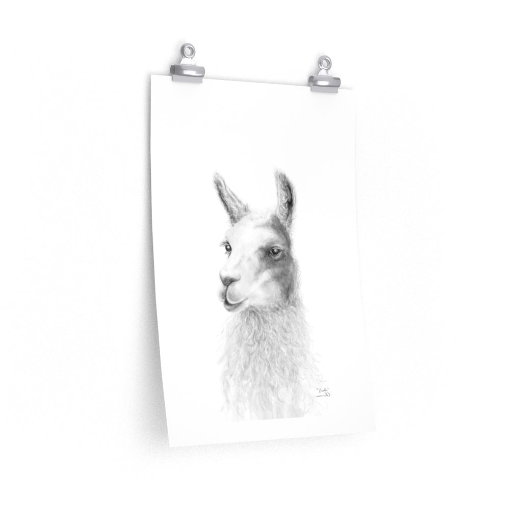 KRISTA Llama- Art Paper Print