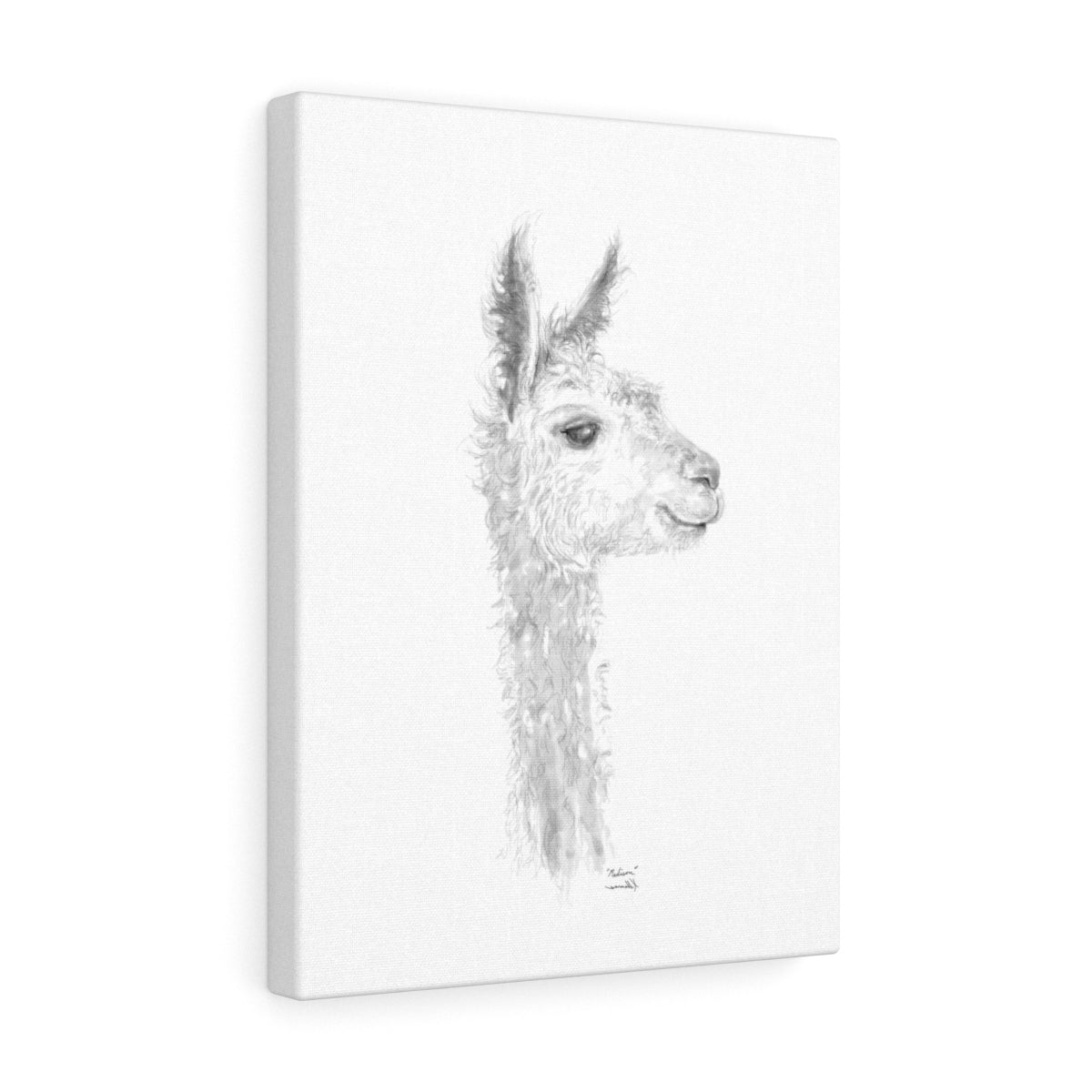 MADISON Llama - Art Canvas