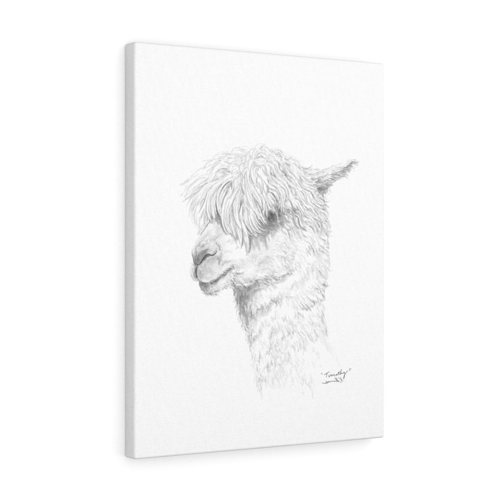 TIMOTHY Llama - Art Canvas