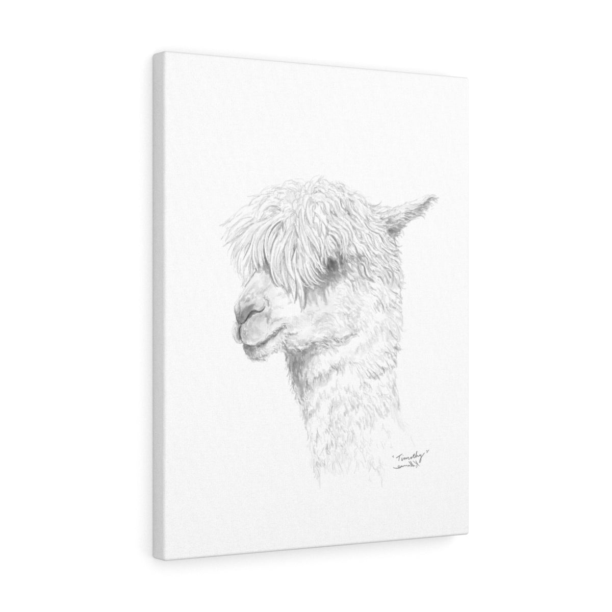TIMOTHY Llama - Art Canvas