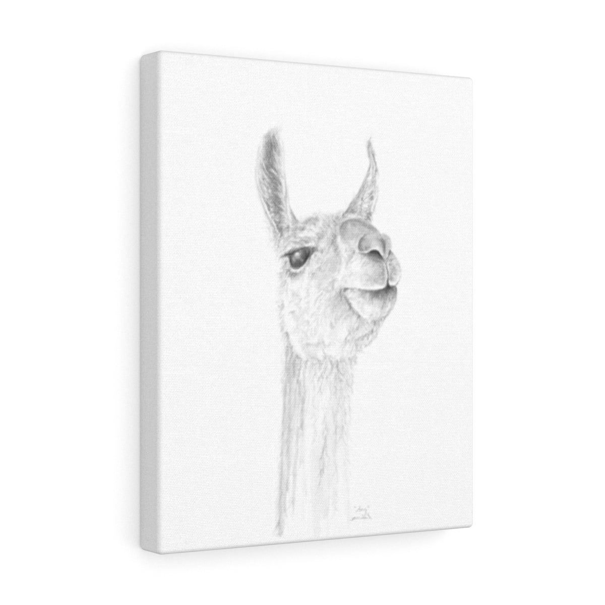 AMY Llama - Art Canvas