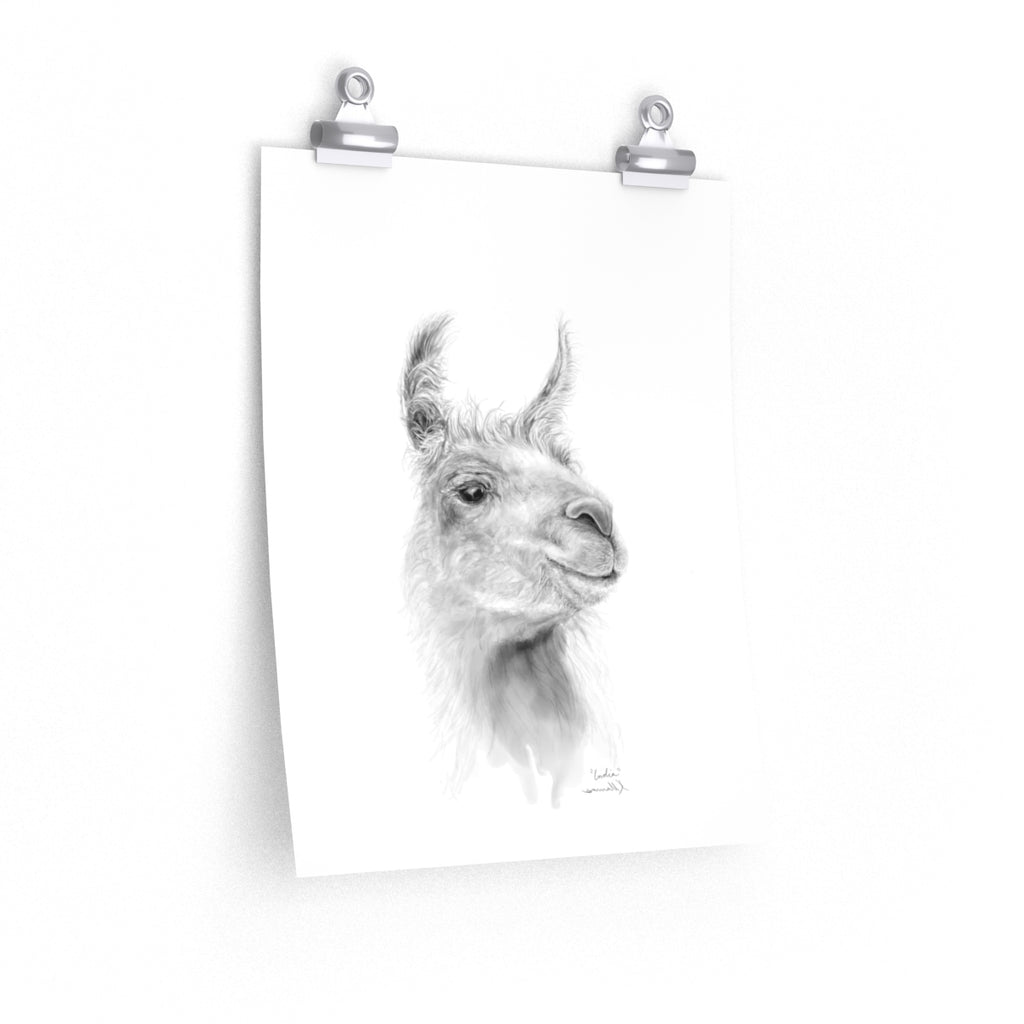 INDIA Llama- Art Paper Print