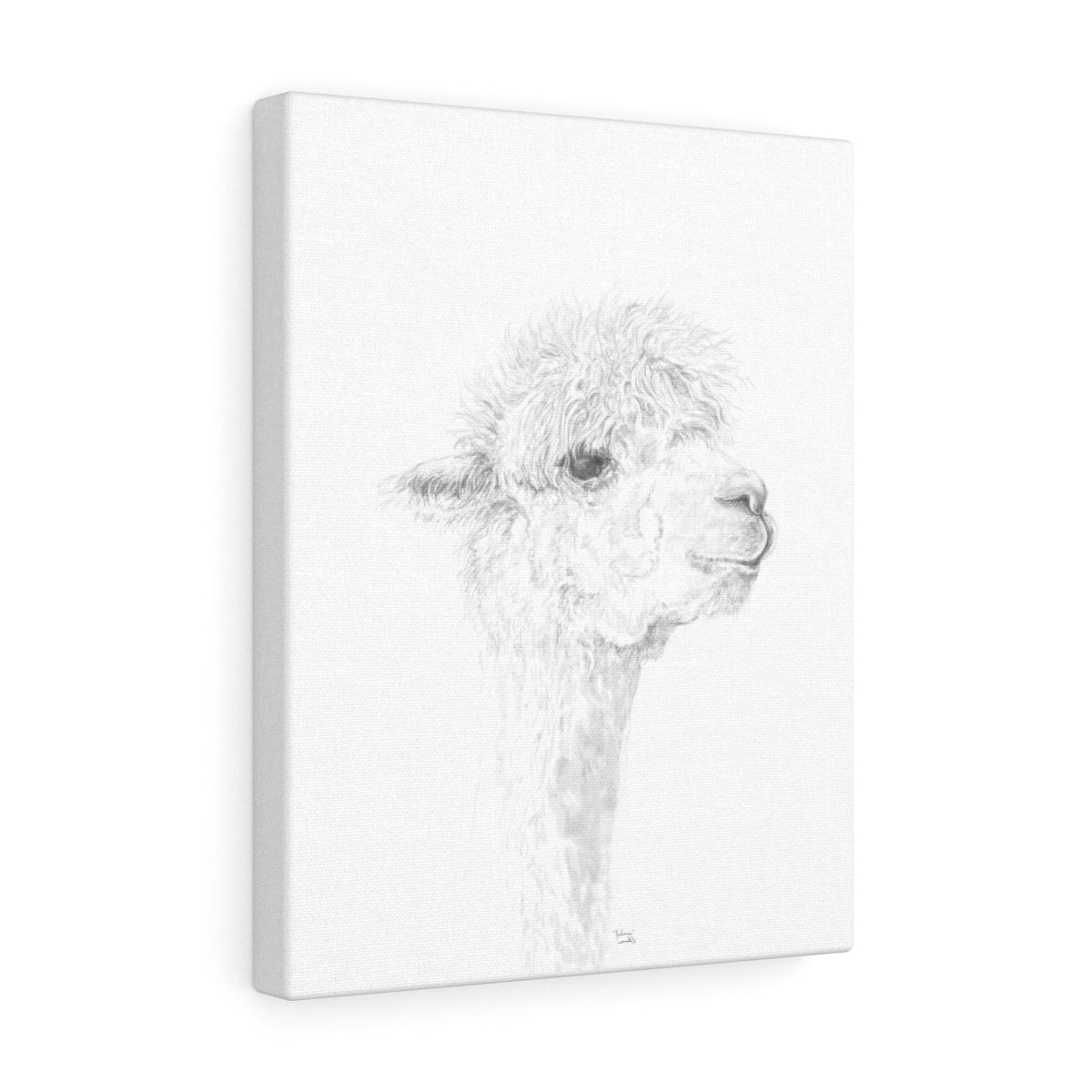 JULIANA Llama - Art Canvas