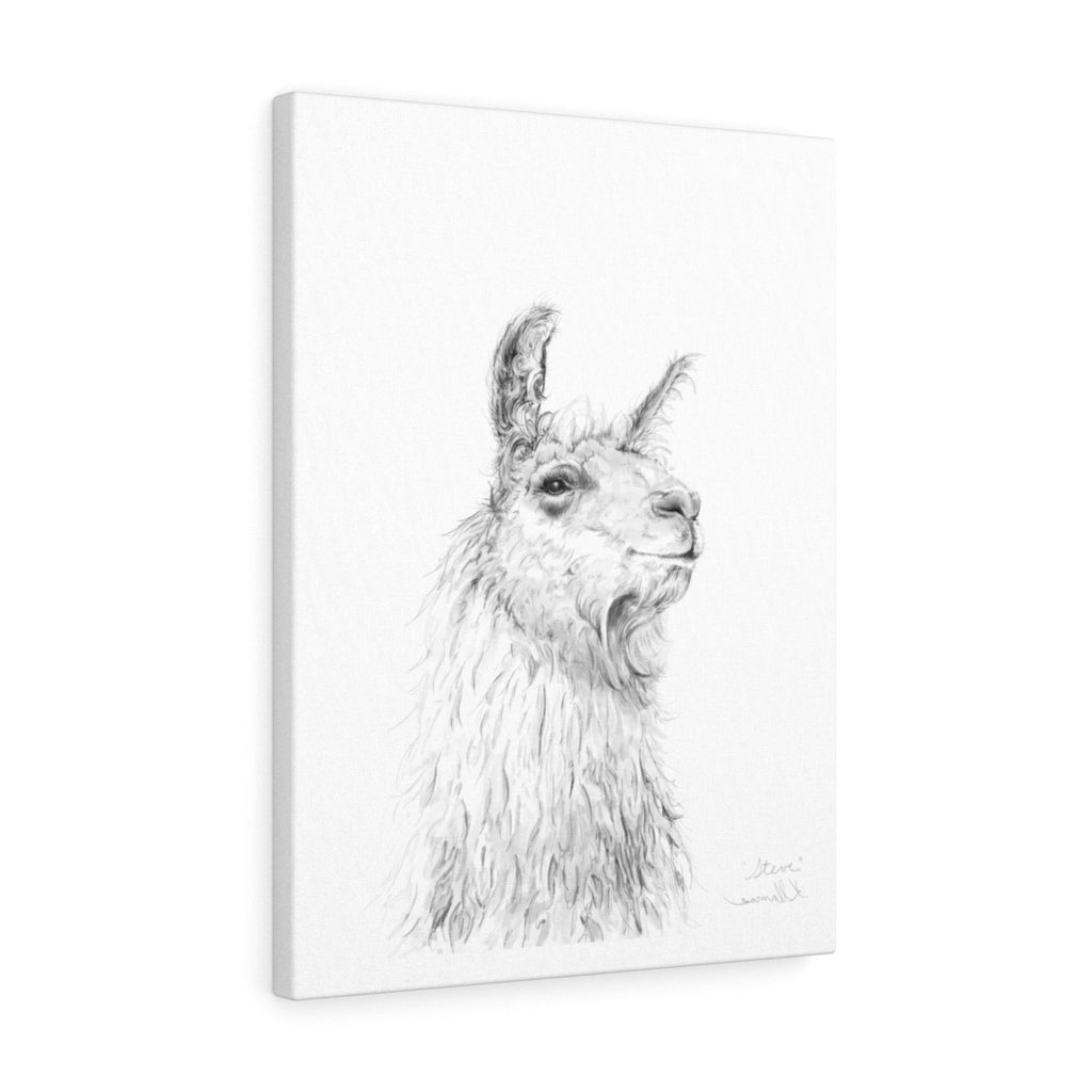 STEVE Llama - Art Canvas