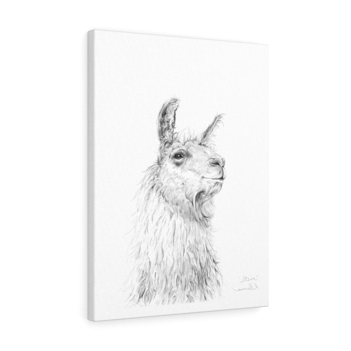 STEVE Llama - Art Canvas