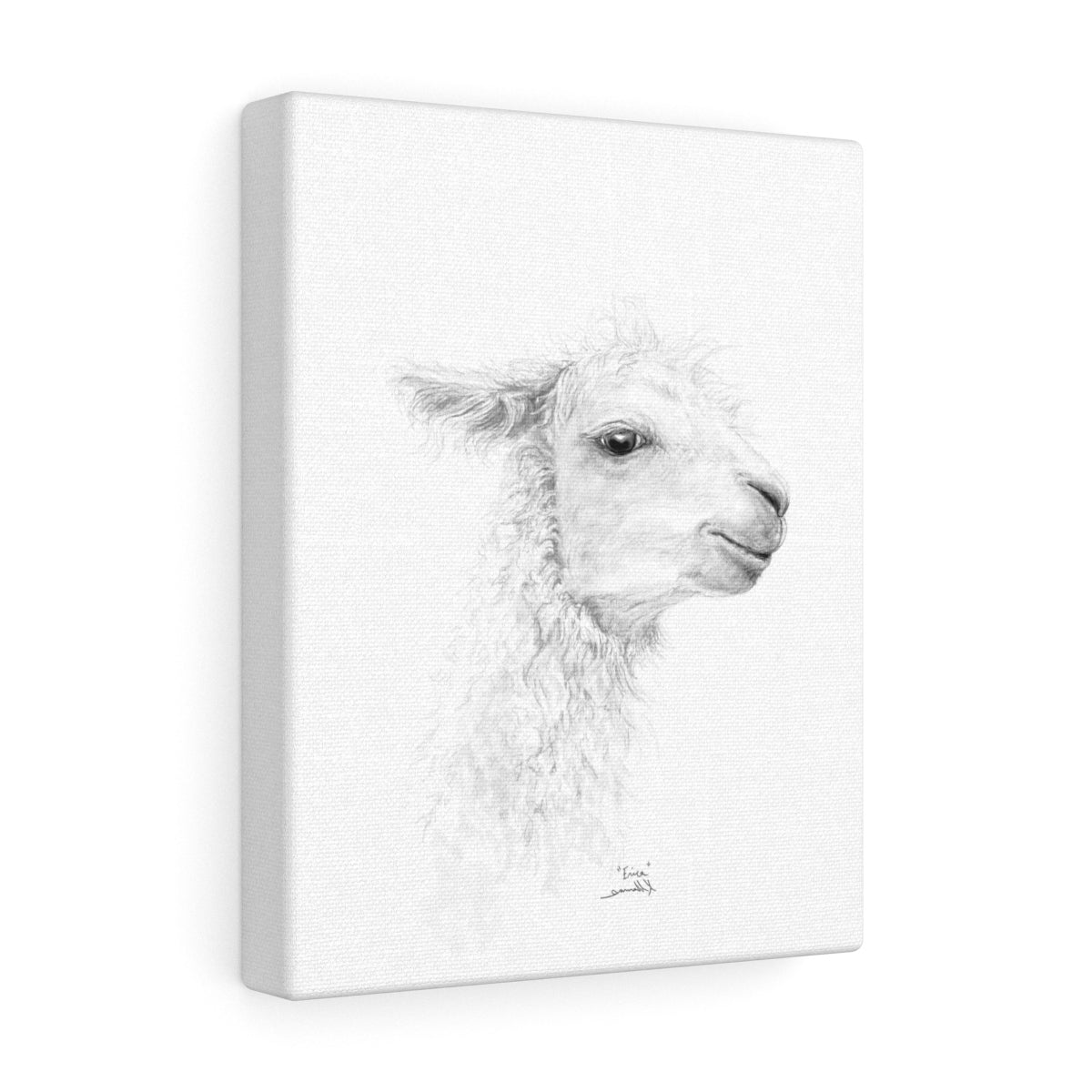 ERICA Llama - Art Canvas