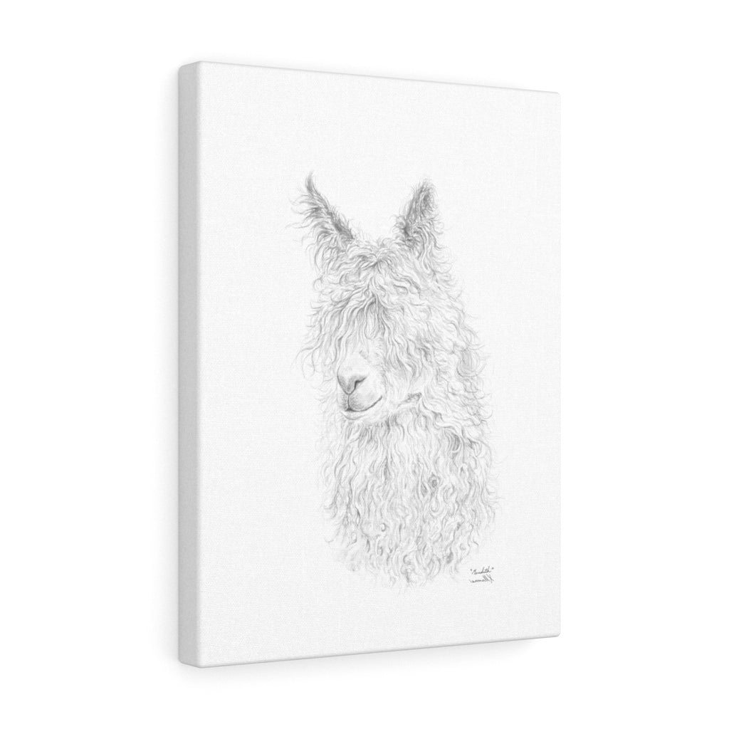 Meredith Llama - Art Canvas