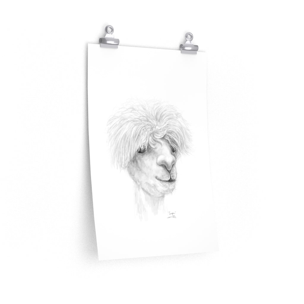 COOPER Llama- Art Paper Print